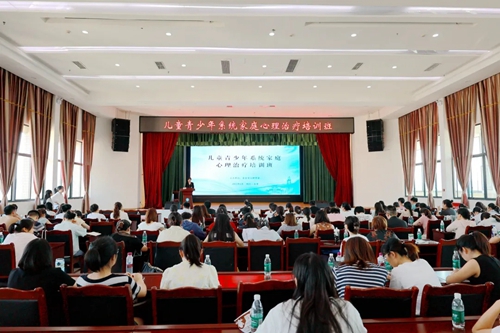 儿童青少年系统家庭心理治疗培训班在我院开班
